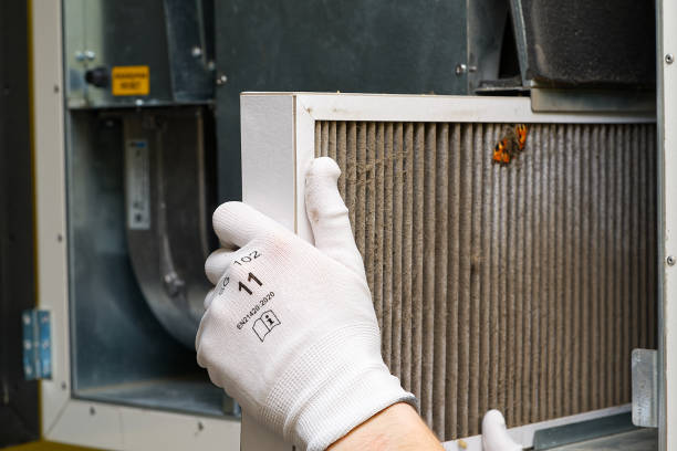 Best Local Air Duct Cleaning Services  in Pierre Part, LA