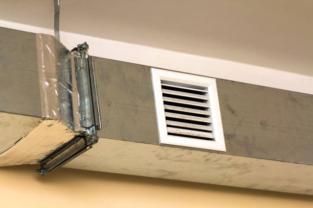 Air Duct Mold Removal in Pierre Part, LA